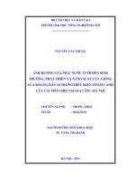 Ảnh hưởng của mực nước tưới đến sinh trưởng, phát triển và năng suất của giống lúa khang dân 18 trong điều kiện thâm canh lúa cải tiến (SRI) tại gia lâm   hà nội