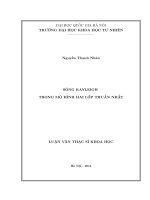 Sóng Rayleigh trong mô hình hai lớp thuần nhất