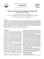 Sludge concentration dynamic distribution and its impact on the performance of UNITANK