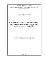Vai trò của vốn xã hội trong việc phát triển nguồn nhân lực trẻ (nghiên cứu trường hợp tỉnh Nghệ An)