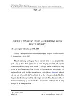 Mô tả, phân tích sự kiện bùn đỏ ở hungary  có vấn đề gì trong quản lý môi trường tại đây