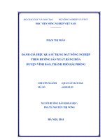 Đánh giá hiệu quả sử dụng đất nông nghiệp theo hướng sản xuất hàng hóa huyện vĩnh bảo, thành phố hải phòng