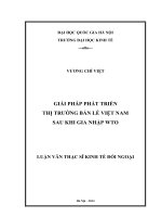Giải pháp phát triển thị trường bán lẻ Việt Nam sau khi gia nhập WTO  Luận văn ThS. Kinh tế