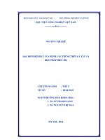 Đặc điểm bệnh lý của bệnh cầu trùng trên gà tây và biện pháp điều trị