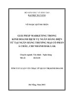 Giải pháp marketing trong kinh doanh dịch vụ ngân hàng điện tử tại ngân hàng TMCP Á Châu, chi nhánh Đăk Lắk
