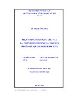Thực trạng hoạt động cho vay tại ngân hàng thương mại cổ phần sải gòn hà nội chi nhánh bắc ninh