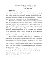 Báo cáo Tổng quan về đào tạo công tác xã hội ở Việt nam.PDF