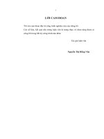 Luận văn thạc sĩ Phát triển dịch vụ khách hàng tại công ty thông tin di động VMS (full)