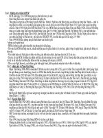 Những nét cơ bản của những tác giả văn học lớp 12