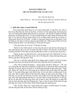 Báo cáo Đảm bảo thông tin cho người khiếm thị tại Việt Nam