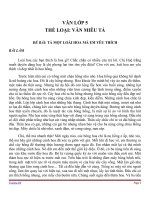 BÀI LÀM VĂN LỚP 5 THỂ LOẠI VĂN MIÊU TẢ