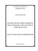 Luận văn thạc sĩ Giải pháp truyền thông marketing cho sản phẩm bia larue tại công ty TNHH VBL đà nẵng (full)