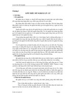 Khảo sát bộ nghịch lưu áp đa bậc