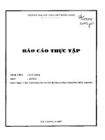 Báo cáo thực tập Thực trạng hoạt động kinh doanh của chi nhành ngân hàng Công thương Bắc Giang