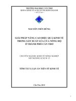 Giải pháp nâng cao hiệu quả kinh tế trong sản xuất lúa của nông hộ ở thành phố cần thơ (TT)