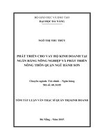 Phát triển cho vay hộ kinh doanh tại ngân hàng nông nghiệp và phát triển nông thôn Quận Ngũ Hành Sơn