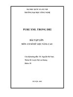 TIỂU LUẬN MÔN CƠ SƠ DỮ LIỆU NÂNG CAO PURE XML TRONG DB2