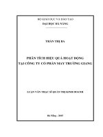 Luận văn thạc sĩ Phân tích hiệu quả hoạt động tại công ty cổ phân may trường giang (full)