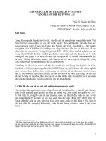 Báo cáo NẠN NHÂN CHẤT DA CAMDIOXIN Ở VIỆT NAM VÀ NỖI LO VỀ THẾ HỆ TƯƠNG LAI