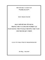 Luận văn thạc sĩ Hạn chế rủi ro tín dụng trong cho vay doanh nghiệp tại ngân hàng TMCP ngoại thương Việt Nam, chi nhánh Quy Nhơn (full)