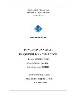 LUẬN văn đại học chuyên ngành  hóa học TỔNG hợp dẫn XUẤT ISOQUINOLINE   CHALCONE(PHAN PHÚ BÌNH)