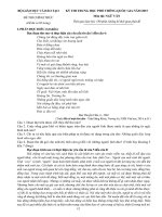 [FULL] ĐỀ THI VÀ ĐÁP ÁN KÌ THI THPT QUỐC GIA MÔN VĂN 2015