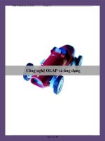 TIỂU LUẬN MÔN CƠ SƠ DỮ LIỆU NÂNG CAO Công nghệ OLAP và ứng dụng