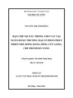 Hạn chế nợ xấu trong cho vay tại ngân hàng TMCP phát triển nhà đồng bằng Sông Cửu Long, chi nhánh Đà Nẵng