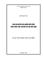Bảo hộ quyền của người biểu diễn theo pháp luật sở hữu trí tuệ Việt Nam