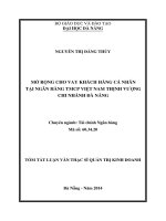 Mở rộng cho vay khách hàng cá nhân tại ngân hàng TMCP Việt Nam thịnh vượng chi nhánh Đà Nẵng