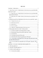 Xây dựng quy trình phát hiện một số vi khuẩn thuộc họ enterobacteriaceae gây bệnh ở người bằng phương pháp PCR đa mồi