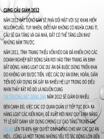 Thảo luận môn thị trường bất động sản: Liên hệ thực tế tình hình thị trường bất động sản năm 2012