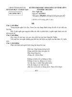 ĐỀ THI CHỌN HỌC SINH GIỎI CẤP TỈNH LỚP 9 SỞ GIÁO DỤC VÀ ĐÀO TẠOMôn: Ngữ văn