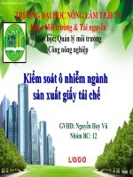SLIDE KIỂM SOÁT ô NHIỄM NGÀNH sản XUẤT GIẤY tái CHẾ