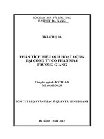 Phân tích hiệu quả hoạt động tại công ty cổ phần may trường giang