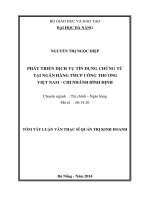 Phát triển dịch vụ tín dụng chứng từ tại ngân hàng TMCP công thương việt nam chi nhánh bình định