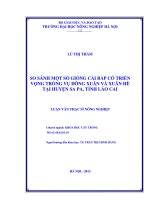 So sánh một số giống cải bắp có triển vọng trồng vụ đông xuân và xuân hè tại huyện sa pa, tỉnh lào cai