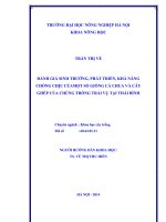 Đánh giá sinh trưởng, phát triển, khả năng chống chịu của một số giống cà chua và cây ghép của chúng trồng trái vụ tại thái bình