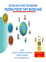 Slide tin học 10 bài 21 mạng thông tin tòan cầu Internet _THPT Mường Nhé