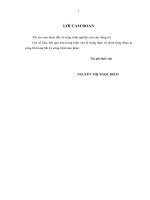 Luận văn thạc sĩ Giải pháp phát triển thẻ đa năng tại ngân hàng thương mại cổ phần Đông Á chi nhánh Đà Nẵng (full)