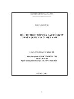 Đầu tư trực tiếp của các công ty xuyên quốc gia ở Việt Nam