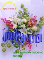 Thực hành vẽ và cắt áo sơ mi cơ bản