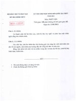 ĐỀ THI HỌC SINH GIỎI NGỮ VĂN LỚP 12