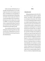 Hoàn thiện danh mục cho vay tại ngân hàng đầu tư và phát triển Việt Nam chi nhánh Hải Vân