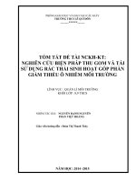 Nghiên cứu biện pháp thu gom và tái sử dụng rác sinh hoạt góp phần giảm thiểu ô nhiễm môi trường’