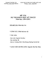 đề  ương dự thi khoa học kỹ thuật đề tài phân lớp cúc