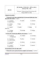 ĐỀ THI HSG CẤP HUYỆN TIẾNG ANH 11