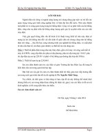 Đồ án tốt nghiệp ngành điện  do minh duc