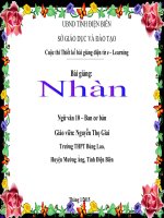 Slide văn 10 nhàn _Thọ Giai