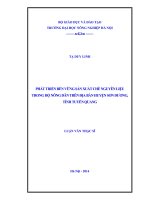 Phát triển bền vững sản xuất chè nguyên liệu trong hộ nông dân trên địa bàn huyện sơn dương, tỉnh tuyên quang